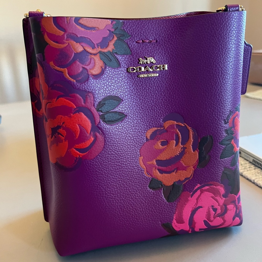 Coach Mollie Bucket Bag crossbody purse NWOT